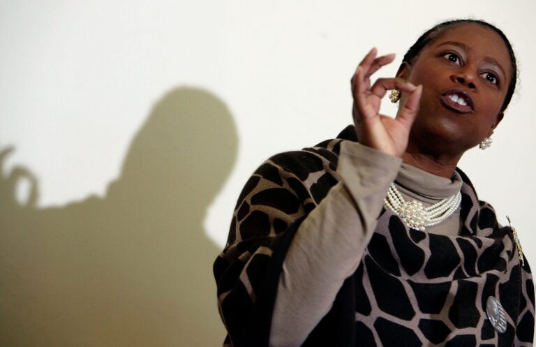 Cynthia McKinney Condemns U.S. Role in Ukraine Conflict During Donetsk Visit