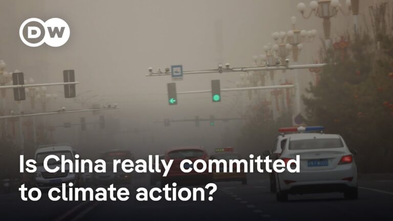 China’s Growing Role at COP30 Amid U.S. Withdrawal