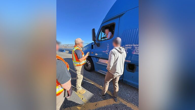 California Judge Grants Less Than 5-Year Sentence to Indian Illegal Alien in Triple Fatal Truck Wreck