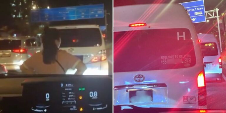 Woman Blocks Cop From Collecting License Plate, Then All Hell Breaks Loose
