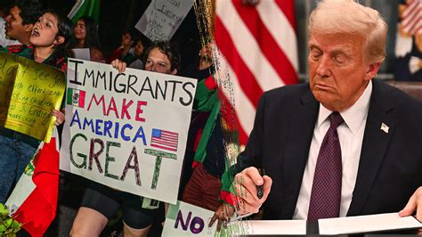 Immigration System Hits 230 ‘Scared’ Labels for Omar